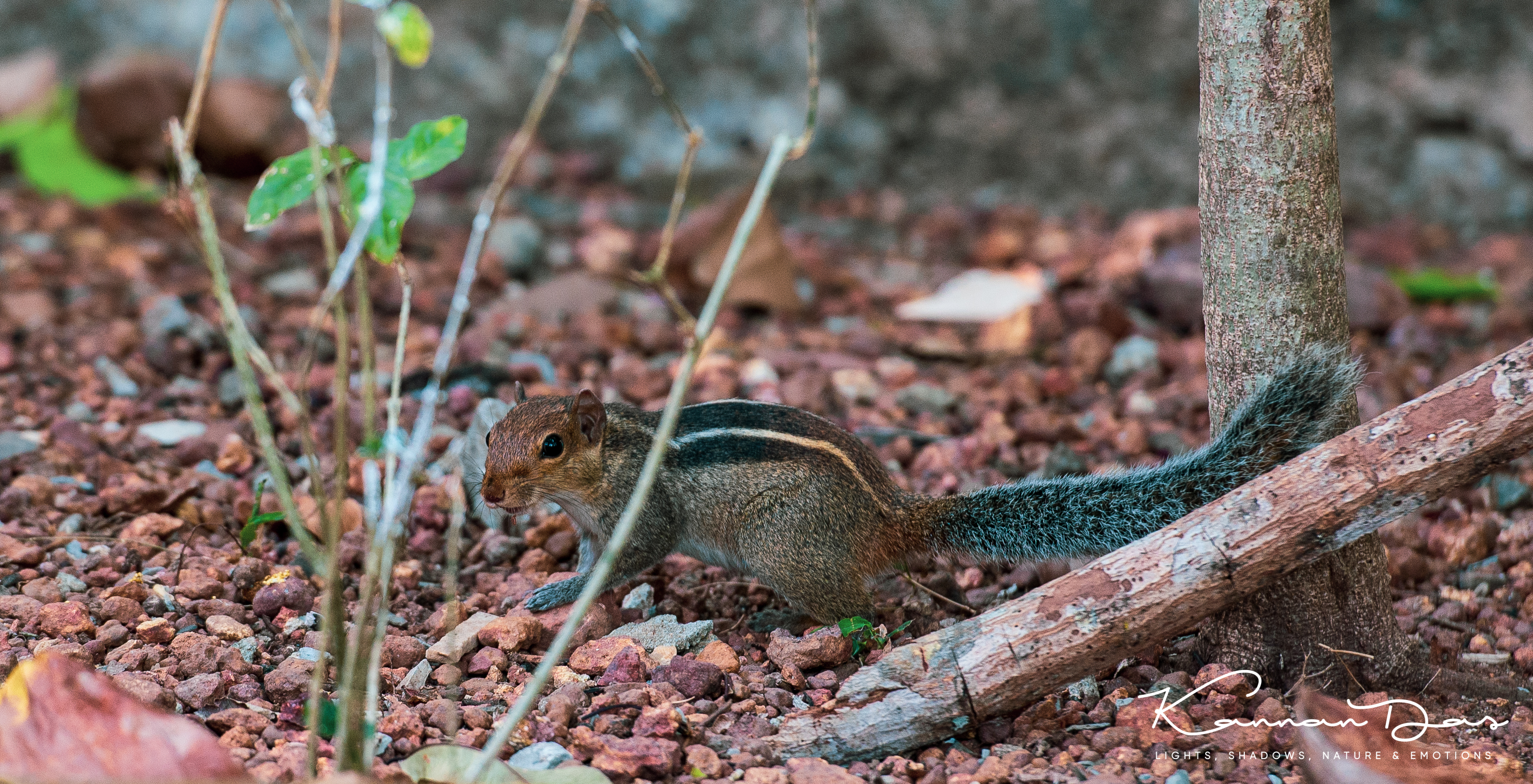 Vacation 2019-April clicks